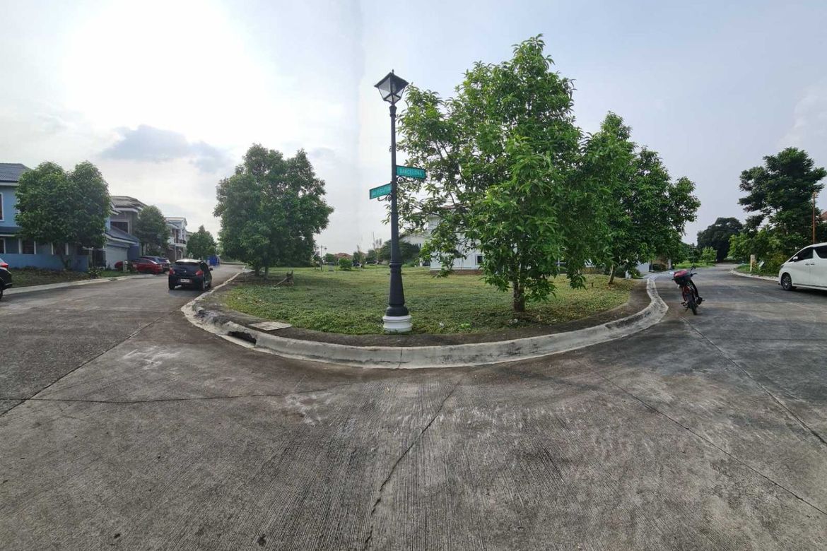 Land for Sale in Versailles Alabang Village, Almanza Dos, Las Piñas, Metro Manila – photo 5