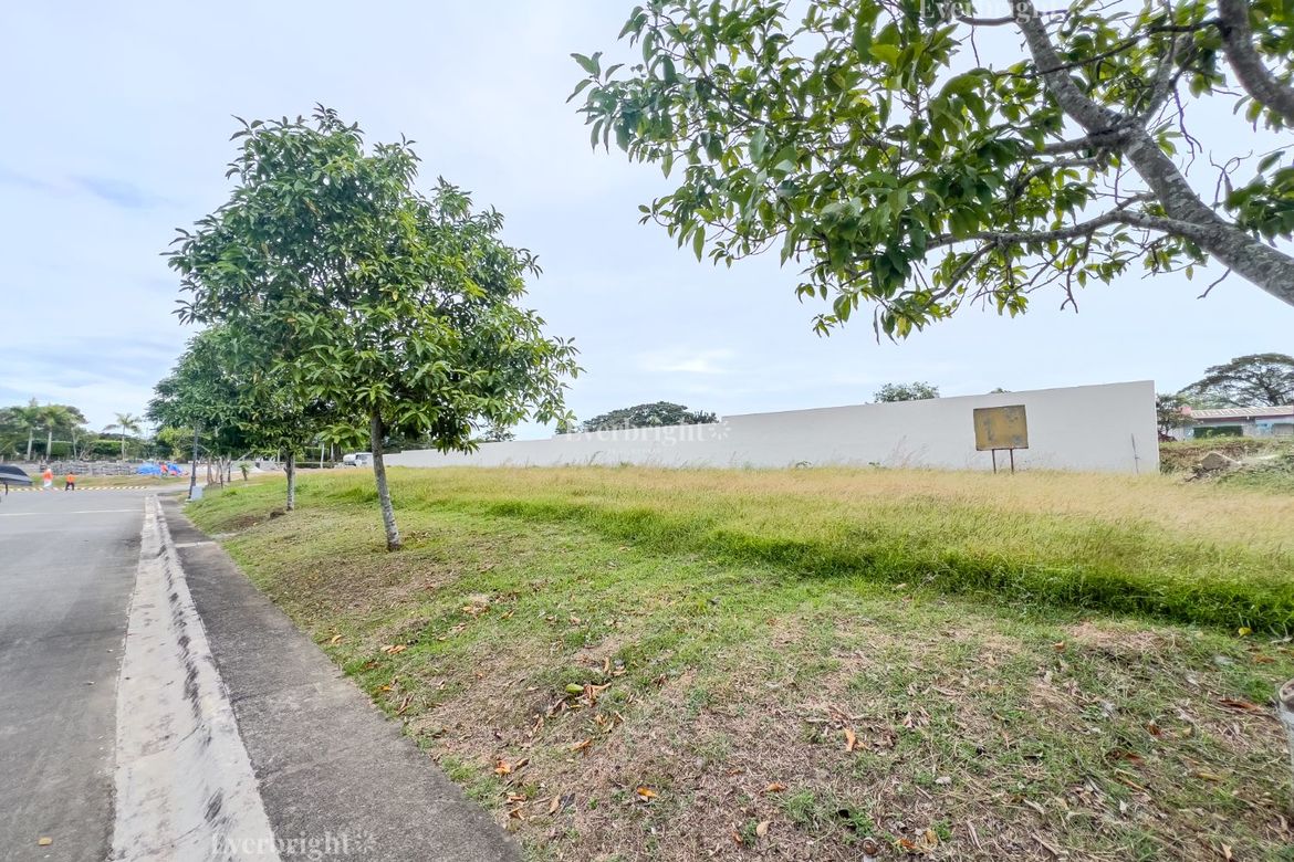 Land for Sale in Versailles Alabang Village, Almanza Dos, Las Piñas, Metro Manila – photo 2
