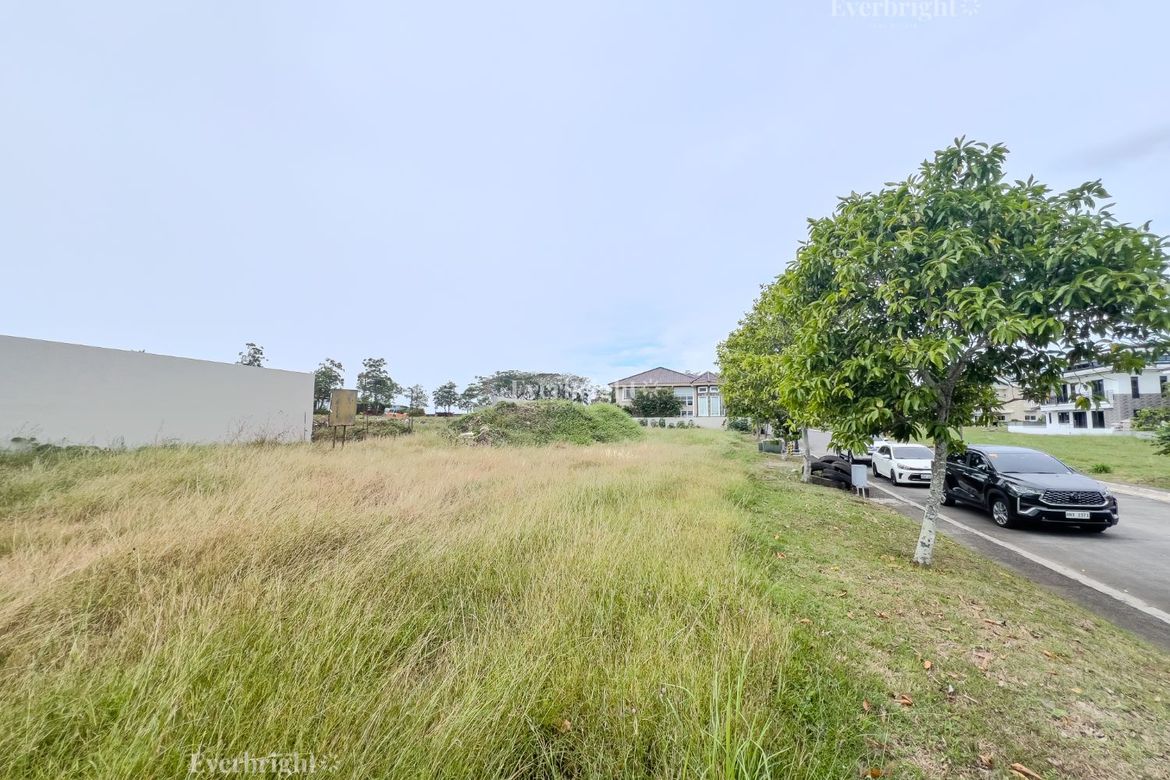 Land for Sale in Versailles Alabang Village, Almanza Dos, Las Piñas, Metro Manila – photo 3
