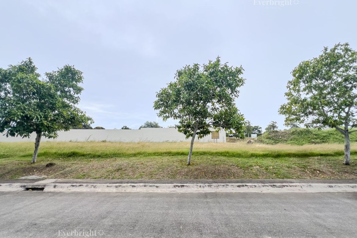 Land for Sale in Versailles Alabang Village, Almanza Dos, Las Piñas, Metro Manila – photo 4