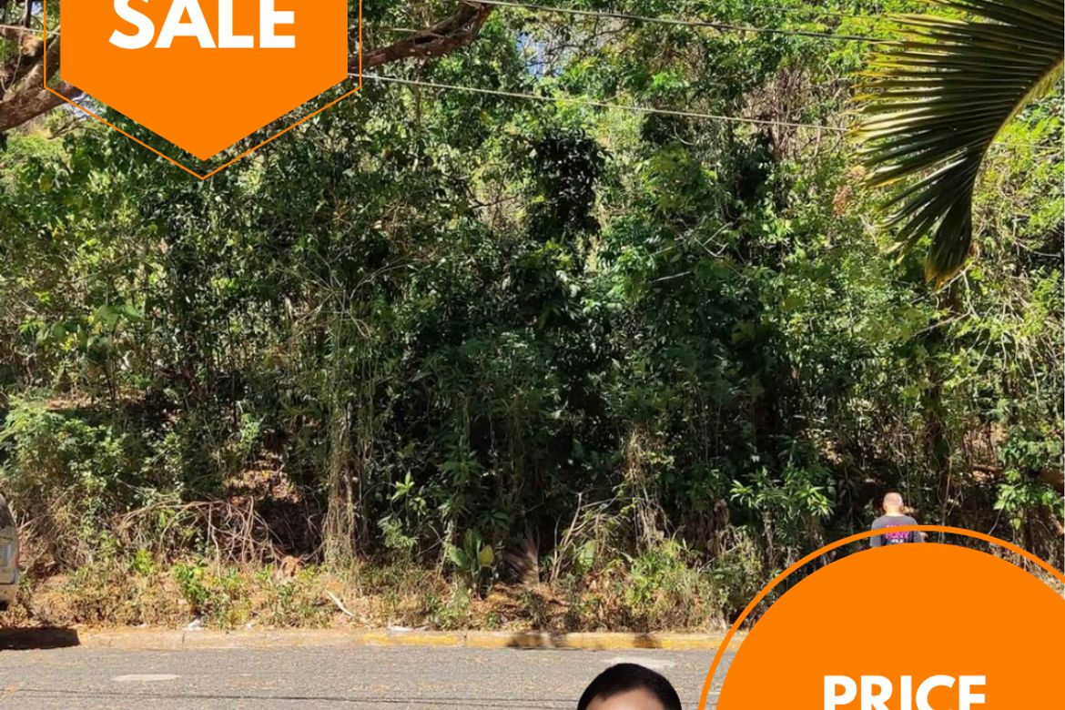 Land for Sale in Victoria Valley Subdivision, Dela Paz, Antipolo, Rizal
