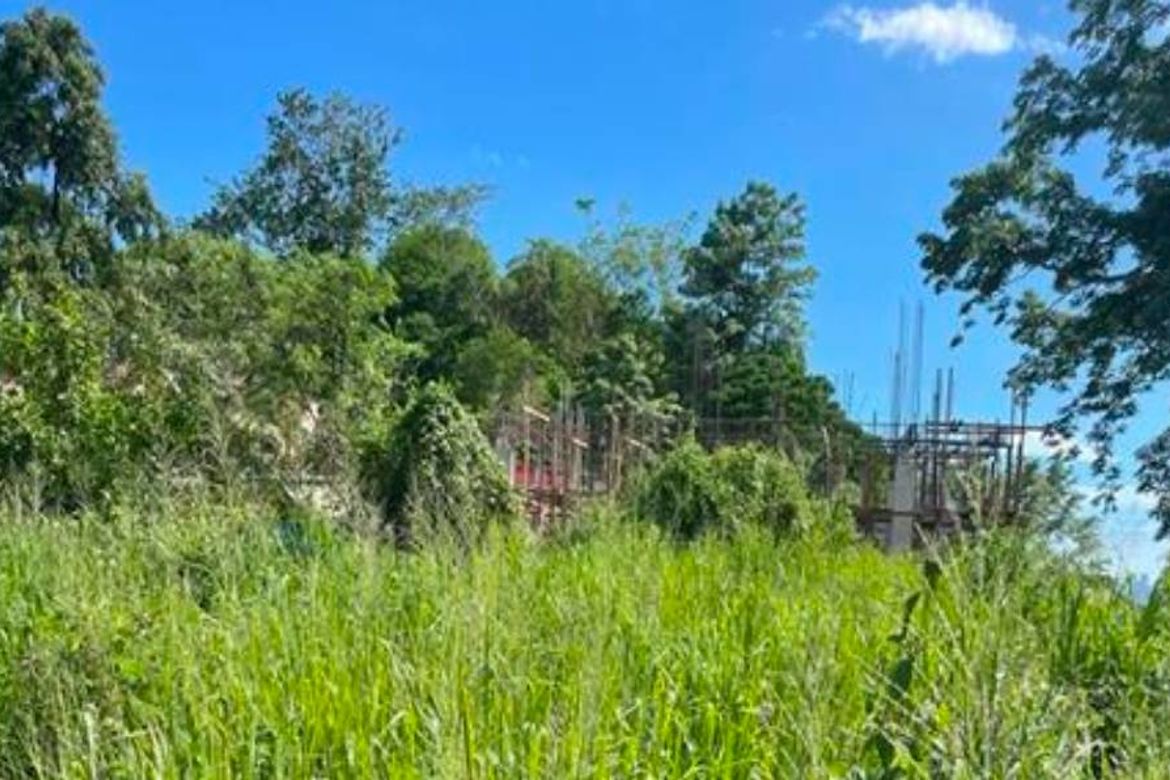 Land for Sale in Victoria Valley Subdivision, Dela Paz, Antipolo, Rizal – photo 3