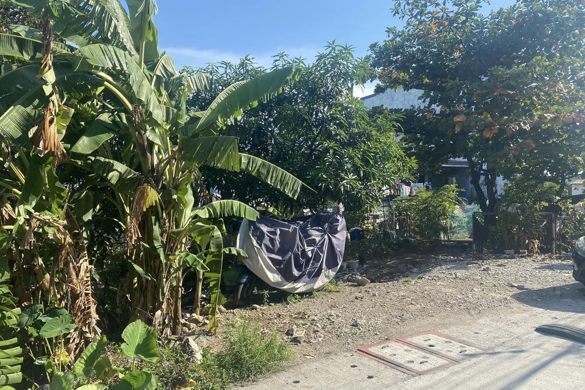 Land for Sale in Viente Reales, Valenzuela, Metro Manila – photo 2