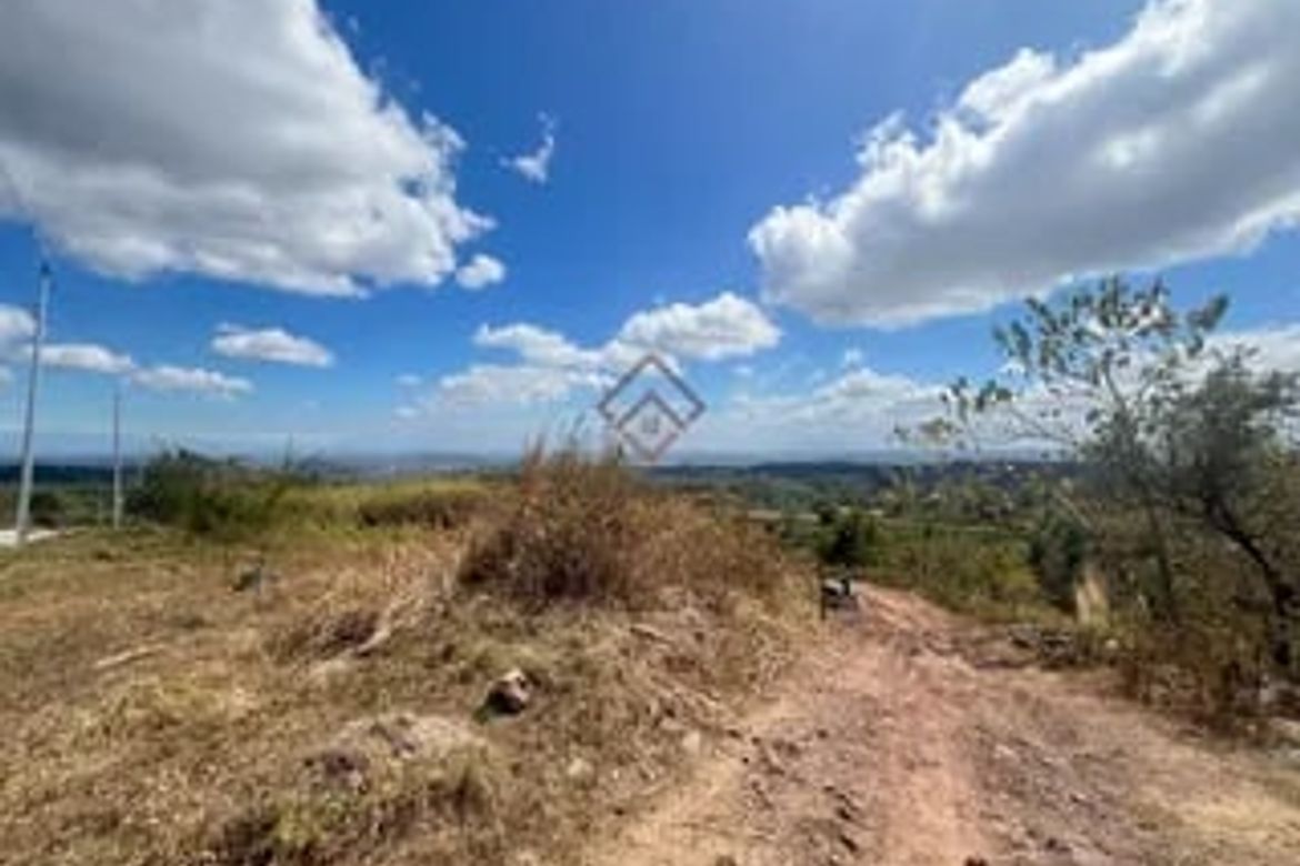 Land for Sale in Villa Aglipay, San Jose, Tarlac