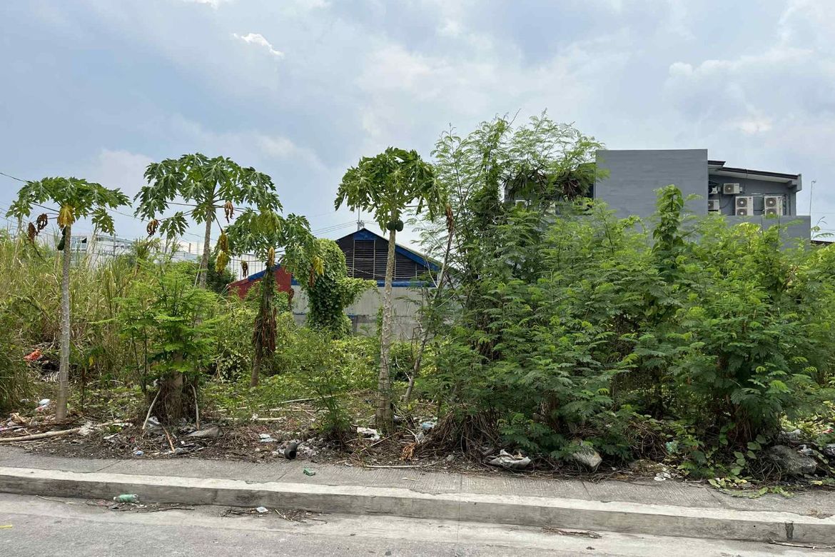 Land for Sale in Villa Caceres Santa Rosa, Balibago, Santa Rosa, Laguna – photo 4