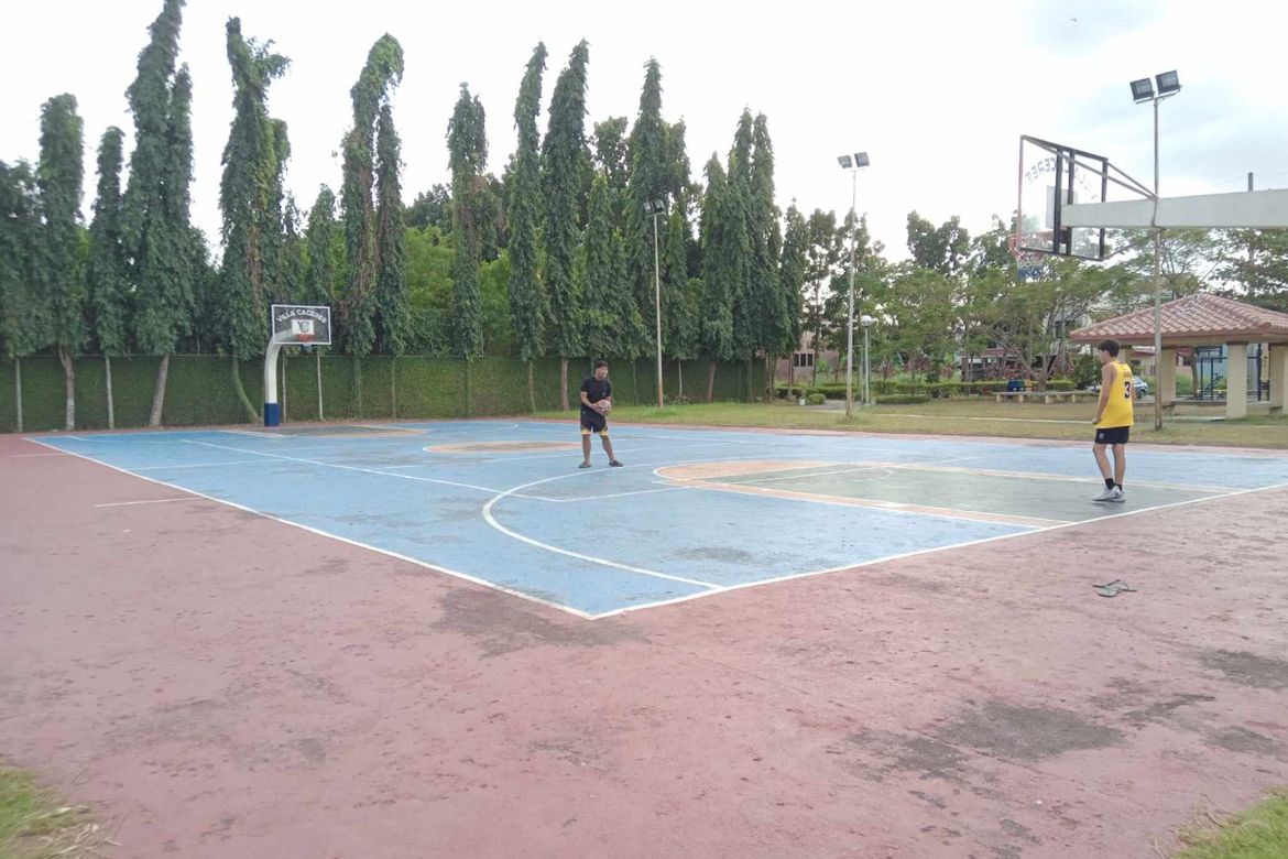Land for Sale in Villa Caceres Santa Rosa, Balibago, Santa Rosa, Laguna – photo 8