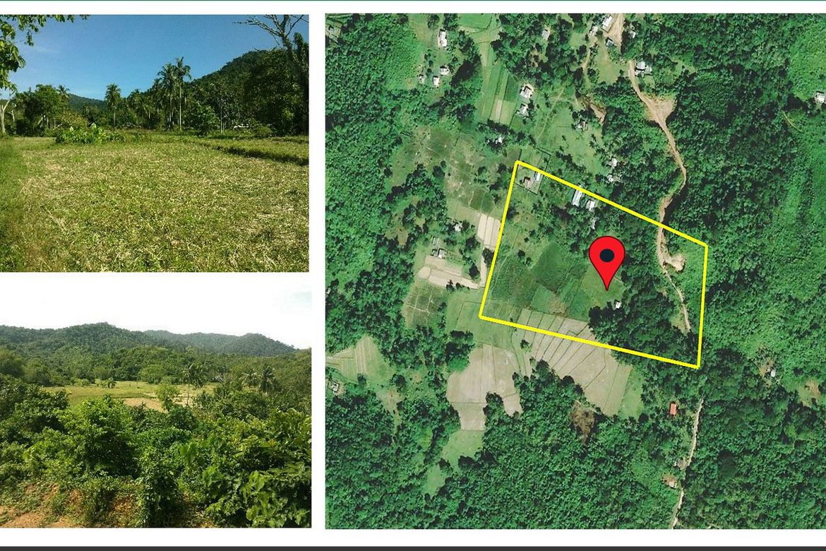 Land for Sale in Villa Libertad, El Nido, Palawan
