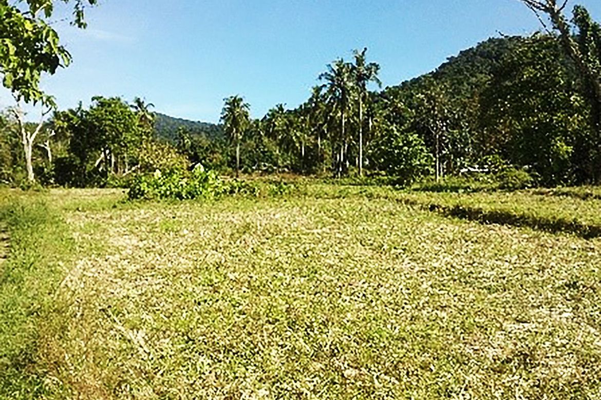 Land for Sale in Villa Libertad, El Nido, Palawan – photo 2