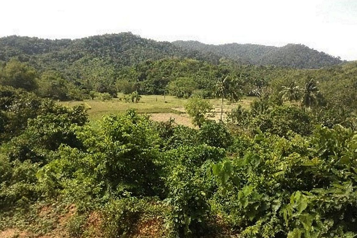 Land for Sale in Villa Libertad, El Nido, Palawan – photo 3