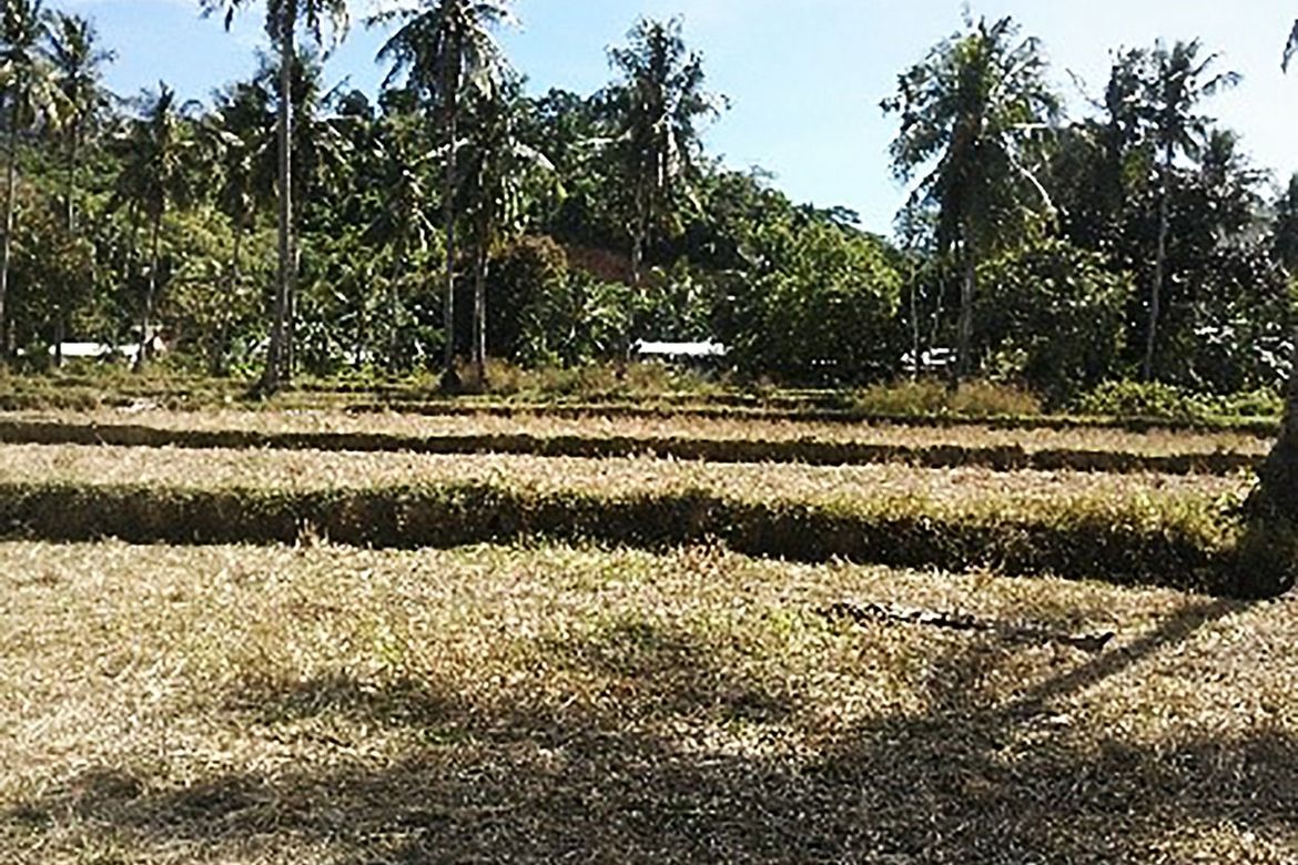 Land for Sale in Villa Libertad, El Nido, Palawan – photo 4