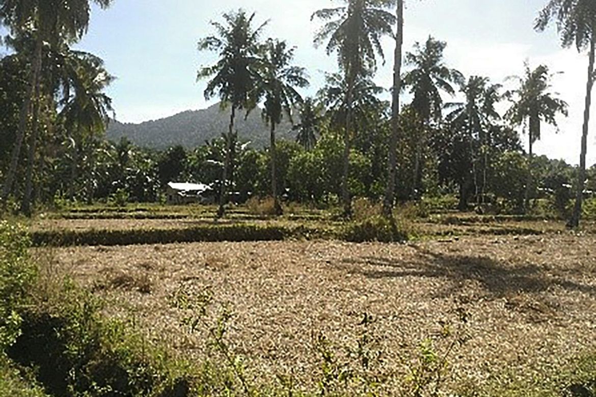 Land for Sale in Villa Libertad, El Nido, Palawan – photo 5
