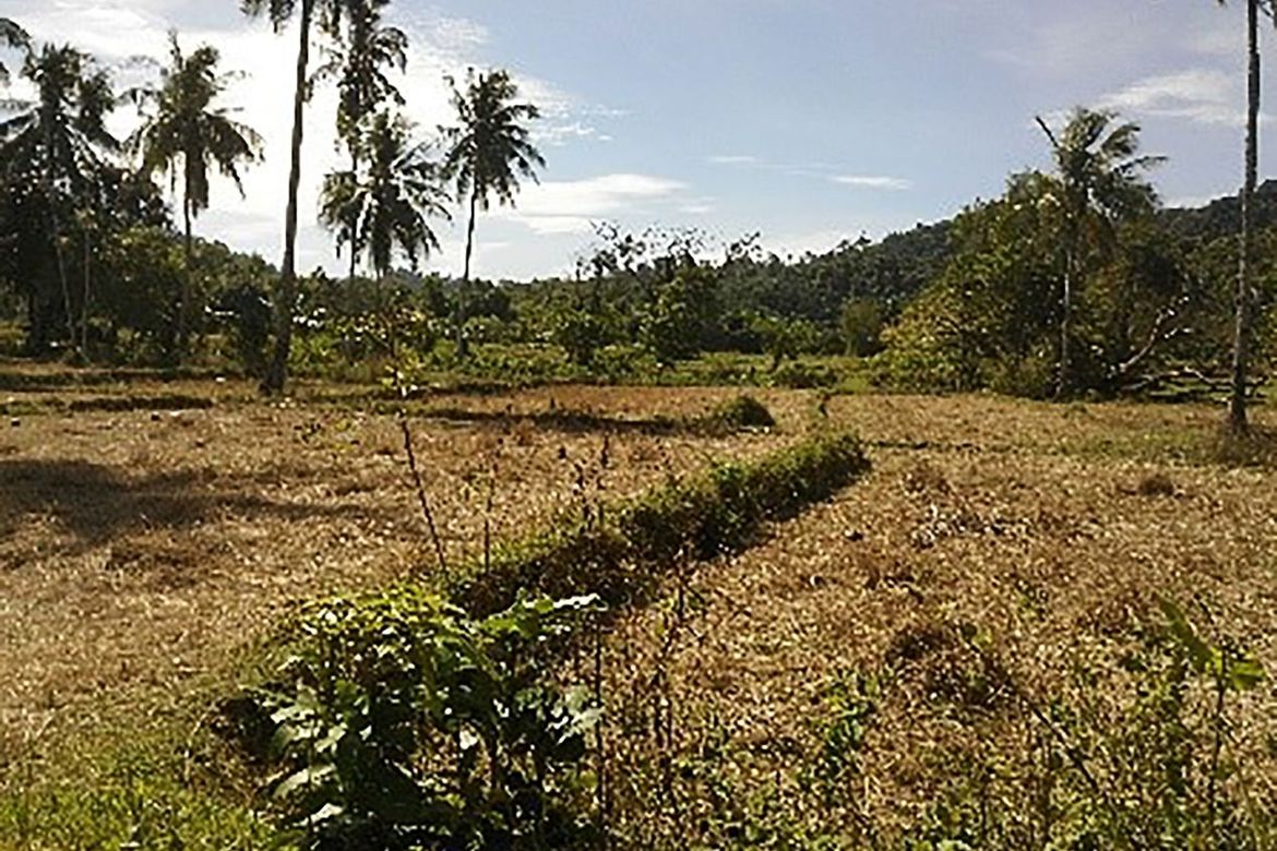 Land for Sale in Villa Libertad, El Nido, Palawan – photo 7