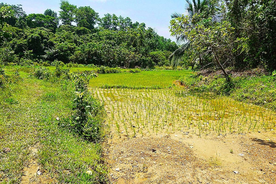 Land for Sale in Villa Libertad, El Nido, Palawan – photo 4