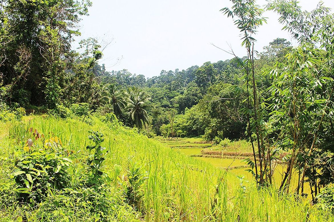 Land for Sale in Villa Libertad, El Nido, Palawan – photo 7