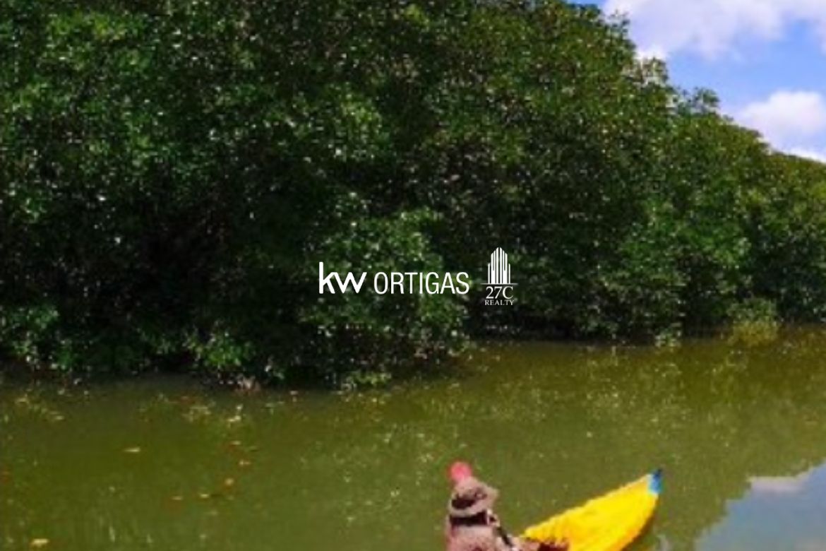 Land for Sale in Villa Libertad, El Nido, Palawan – photo 2