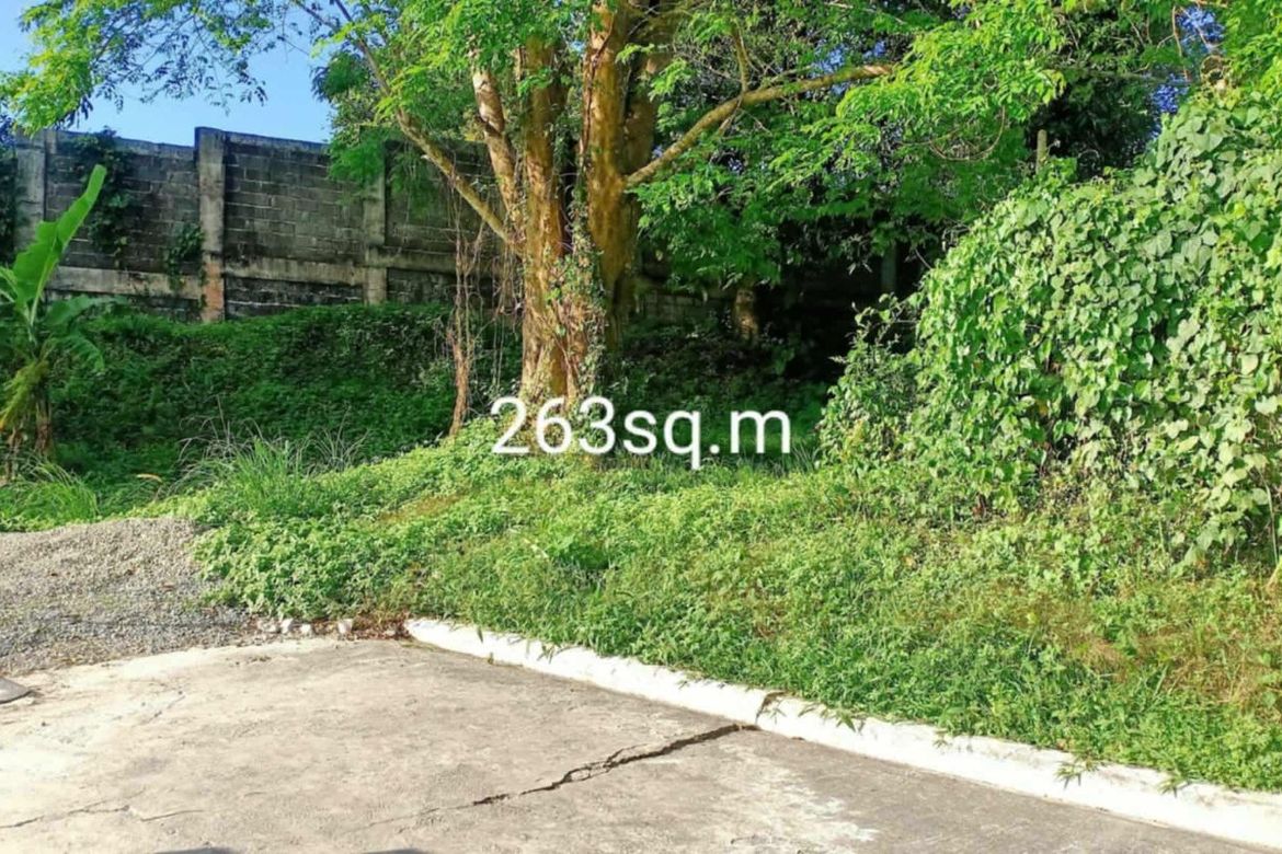 Land for Sale in Villa Mendez, Asisan, Tagaytay, Cavite – photo 2