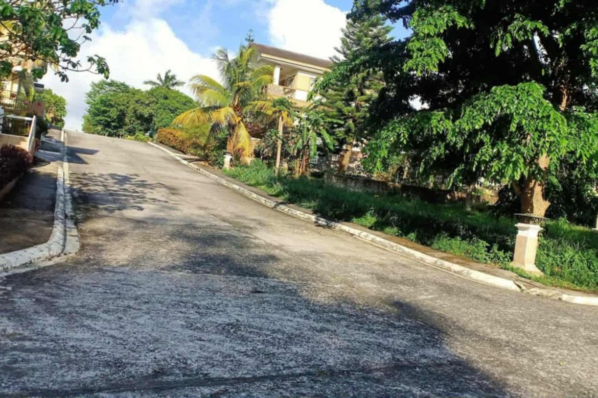 Land for Sale in Villa Mendez, Asisan, Tagaytay, Cavite – photo 3