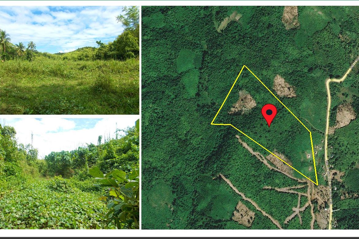 Land for Sale in Villa Paz, El Nido, Palawan