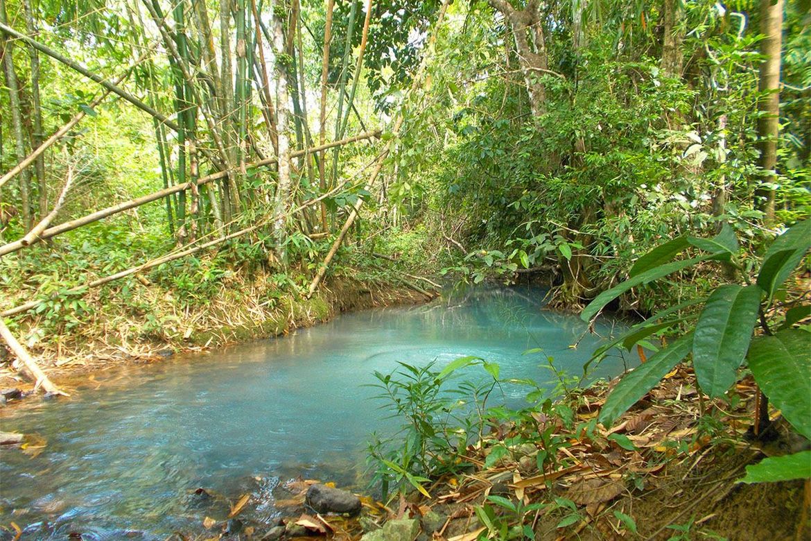 Land for Sale in Villa Paz, El Nido, Palawan – photo 8