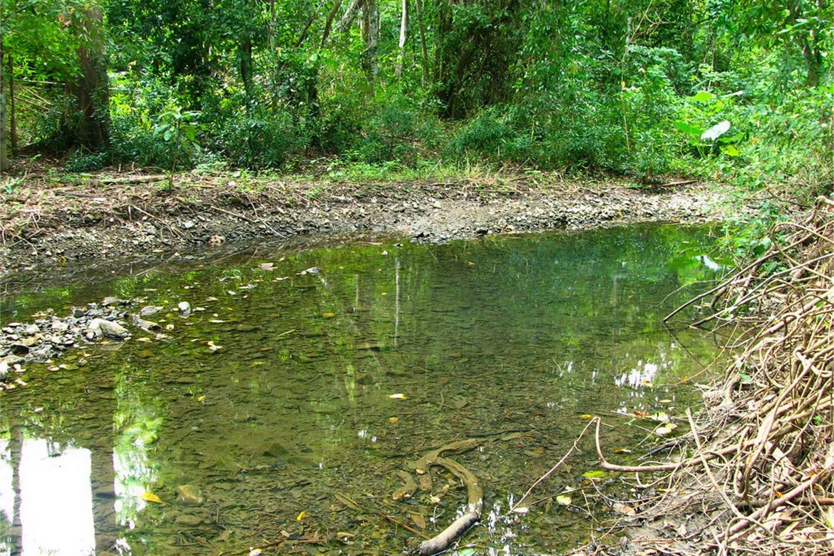Land for Sale in Villa Paz, El Nido, Palawan – photo 4