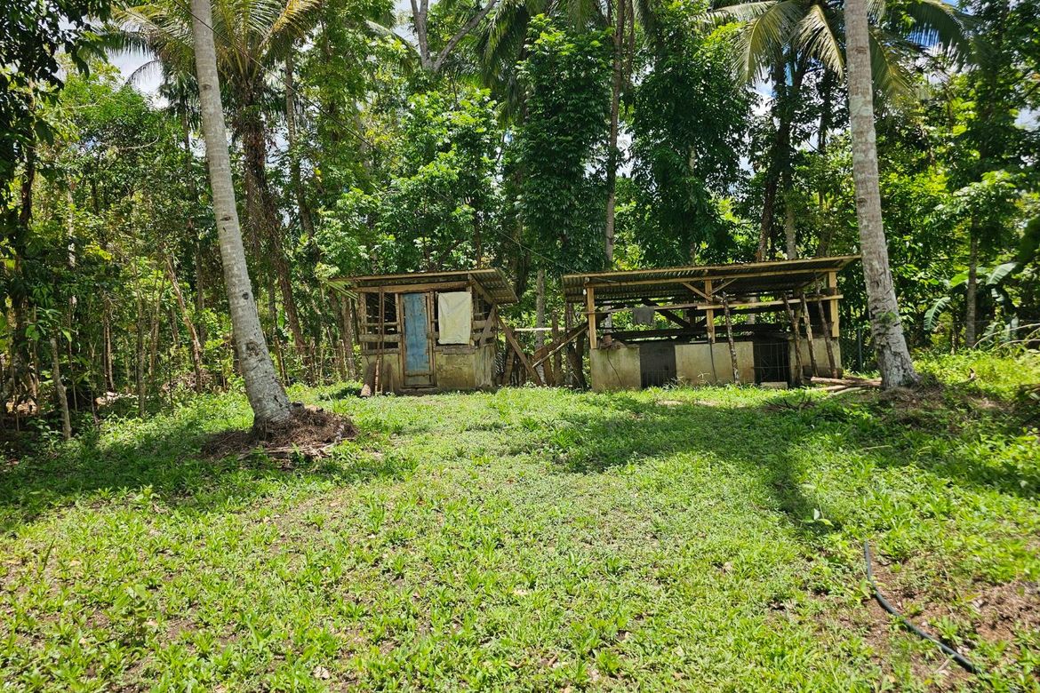 Land for Sale in Villa Suerte, Bilar, Bohol – photo 5