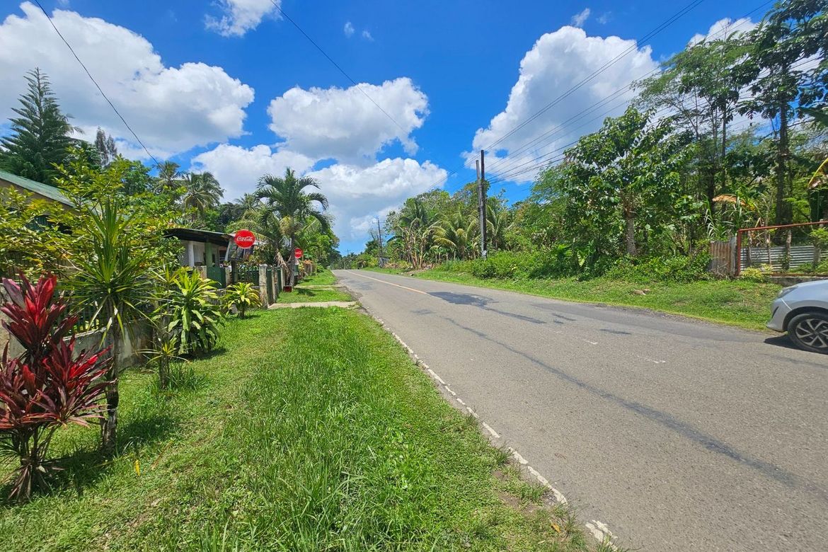 Land for Sale in Villa Suerte, Bilar, Bohol – photo 7