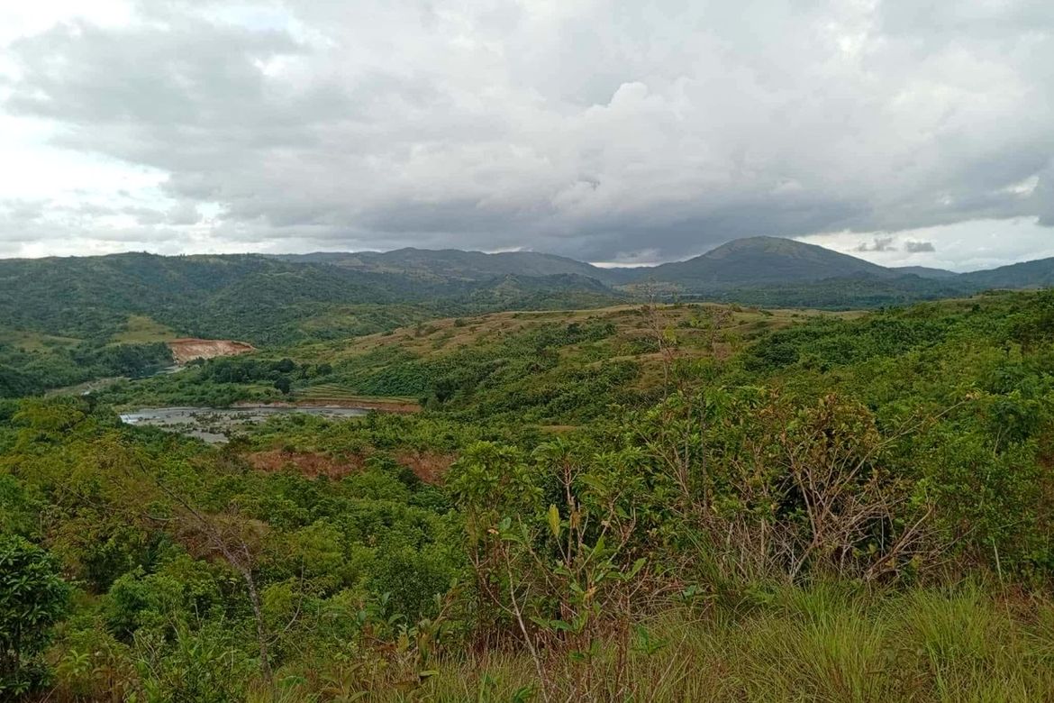 Land for Sale in Villacorta, Mabini, Pangasinan – photo 2