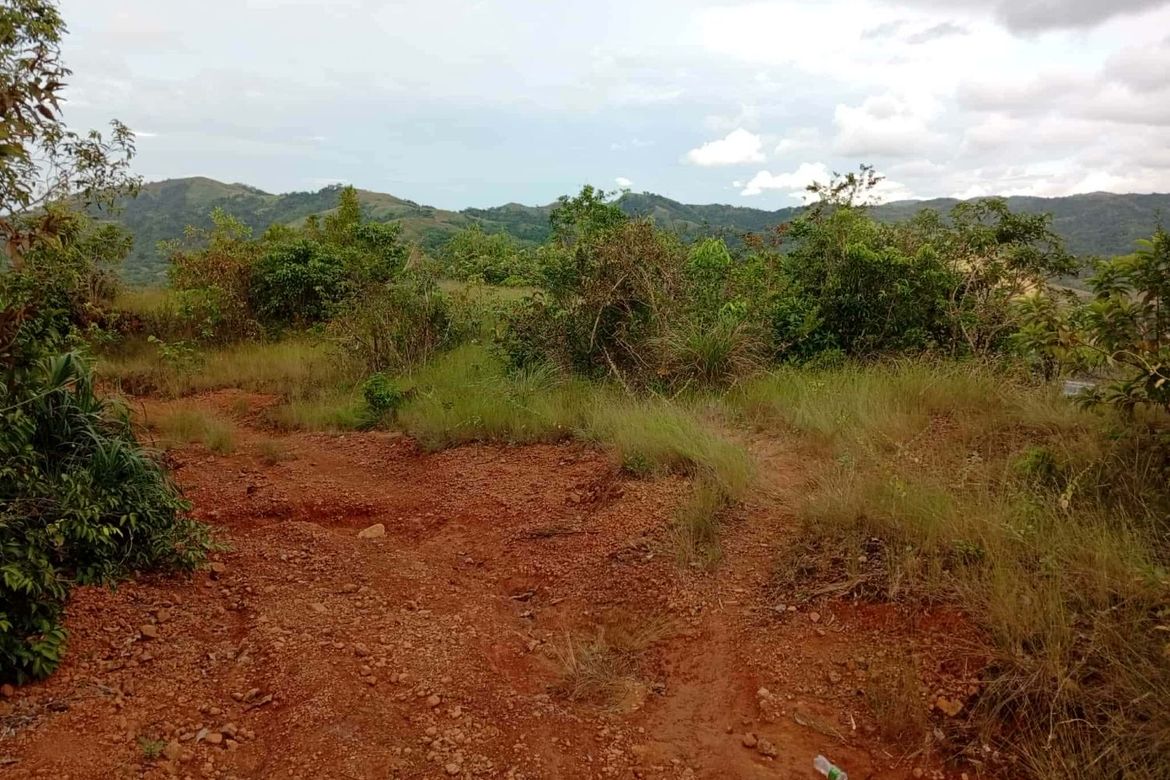 Land for Sale in Villacorta, Mabini, Pangasinan – photo 4