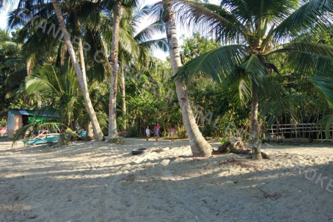 Land for Sale in Villaflor, Puerto Galera, Oriental Mindoro – photo 3