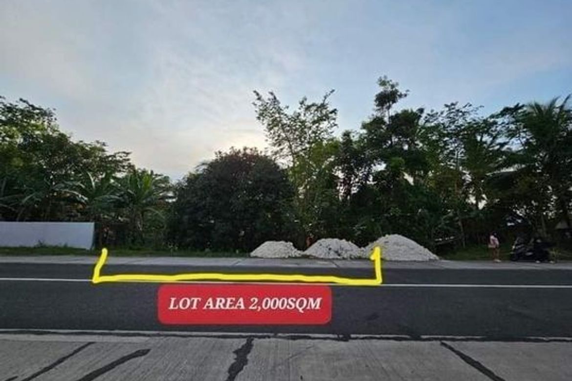 Land for Sale in Villahermosa, Tabuelan, Cebu