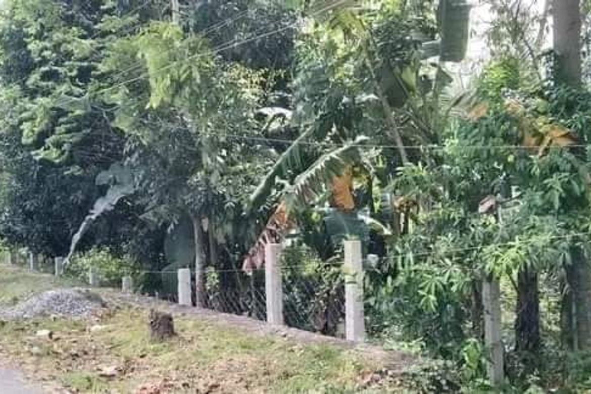 Land for Sale in Villahermosa, Tabuelan, Cebu – photo 2