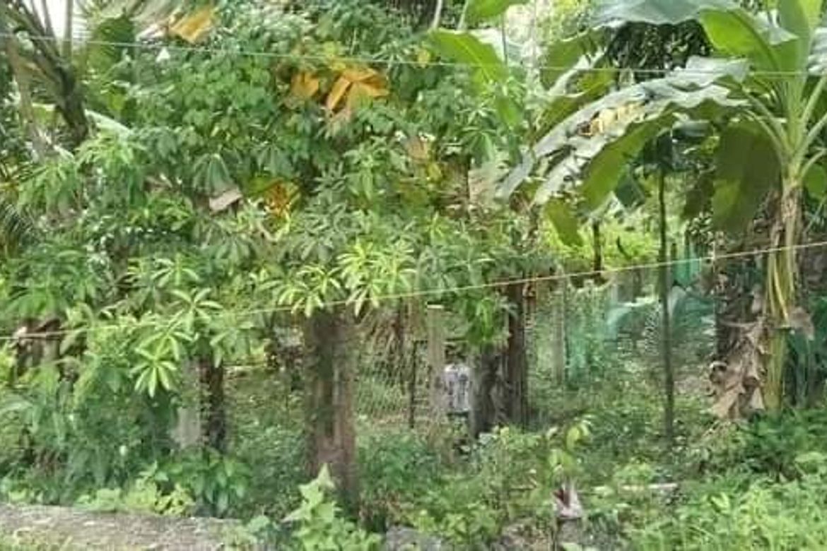 Land for Sale in Villahermosa, Tabuelan, Cebu – photo 5