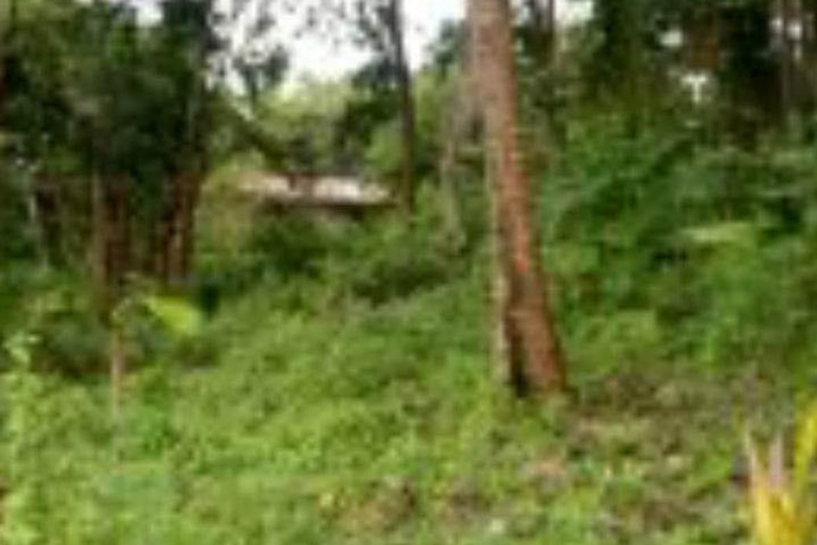 Land for Sale in Villahermosa, Tabuelan, Cebu