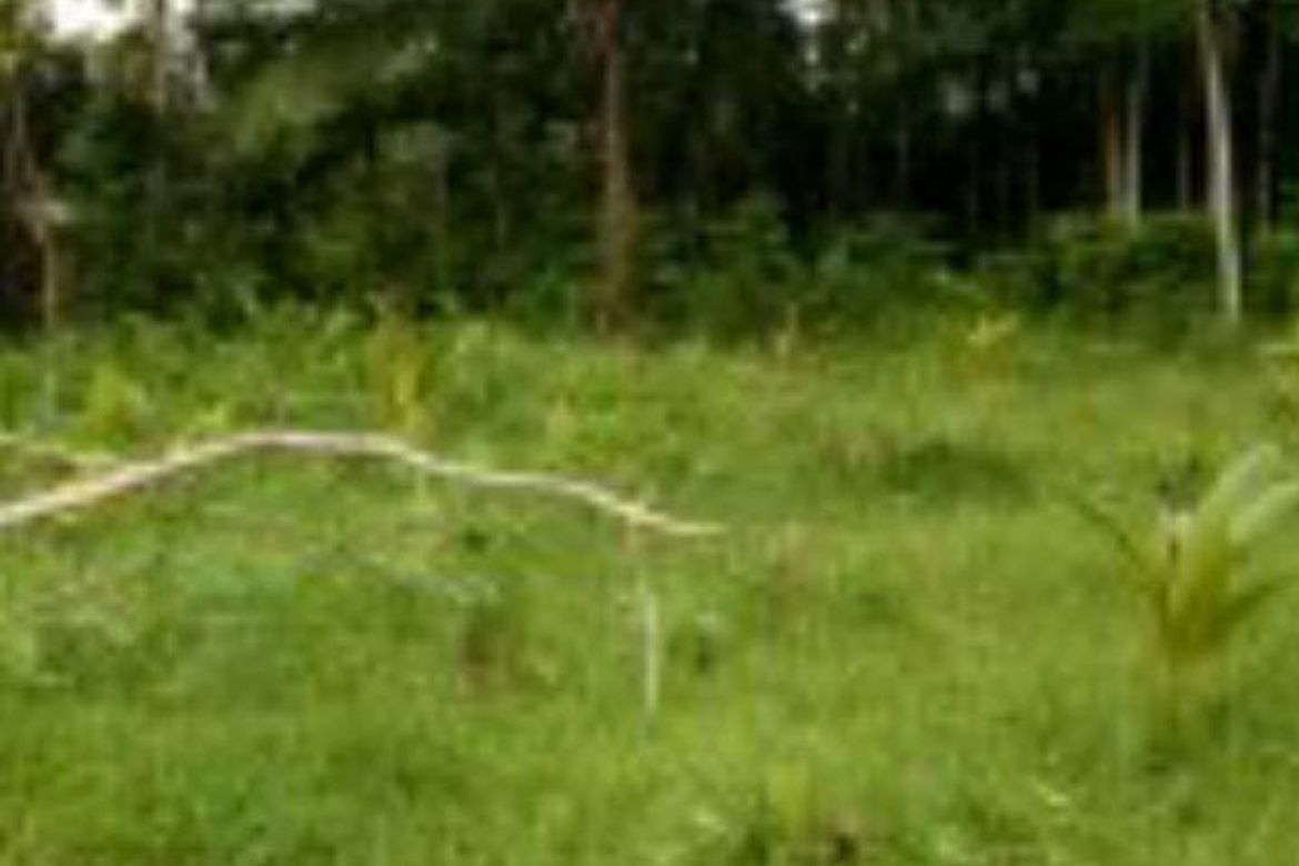 Land for Sale in Villahermosa, Tabuelan, Cebu – photo 3