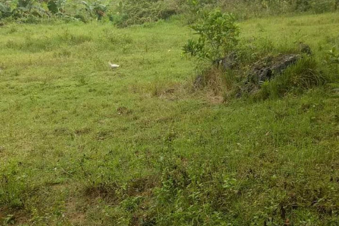 Land for Sale in Villahermosa, Tabuelan, Cebu – photo 8