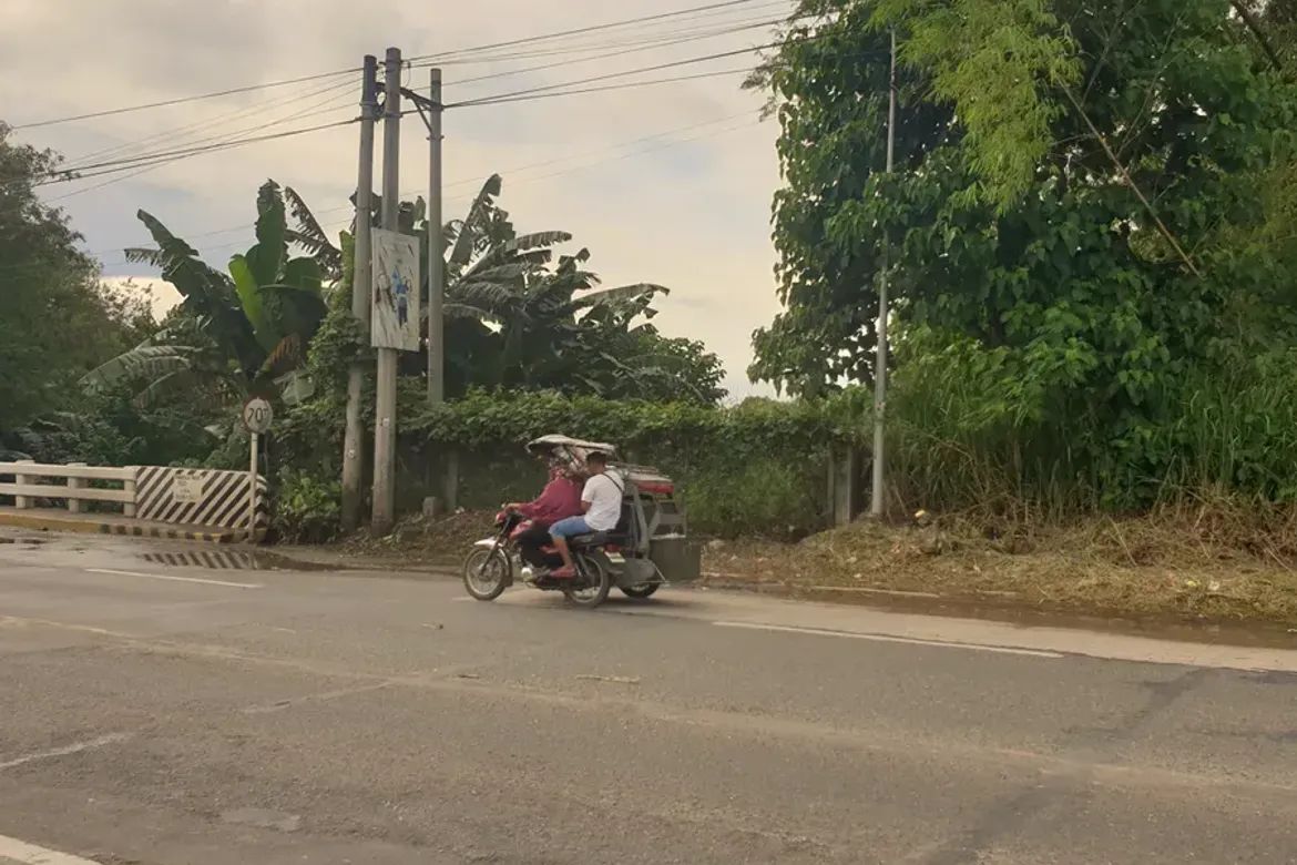 Land for Sale in Villamonte, Bacolod, Negros Occidental – photo 6