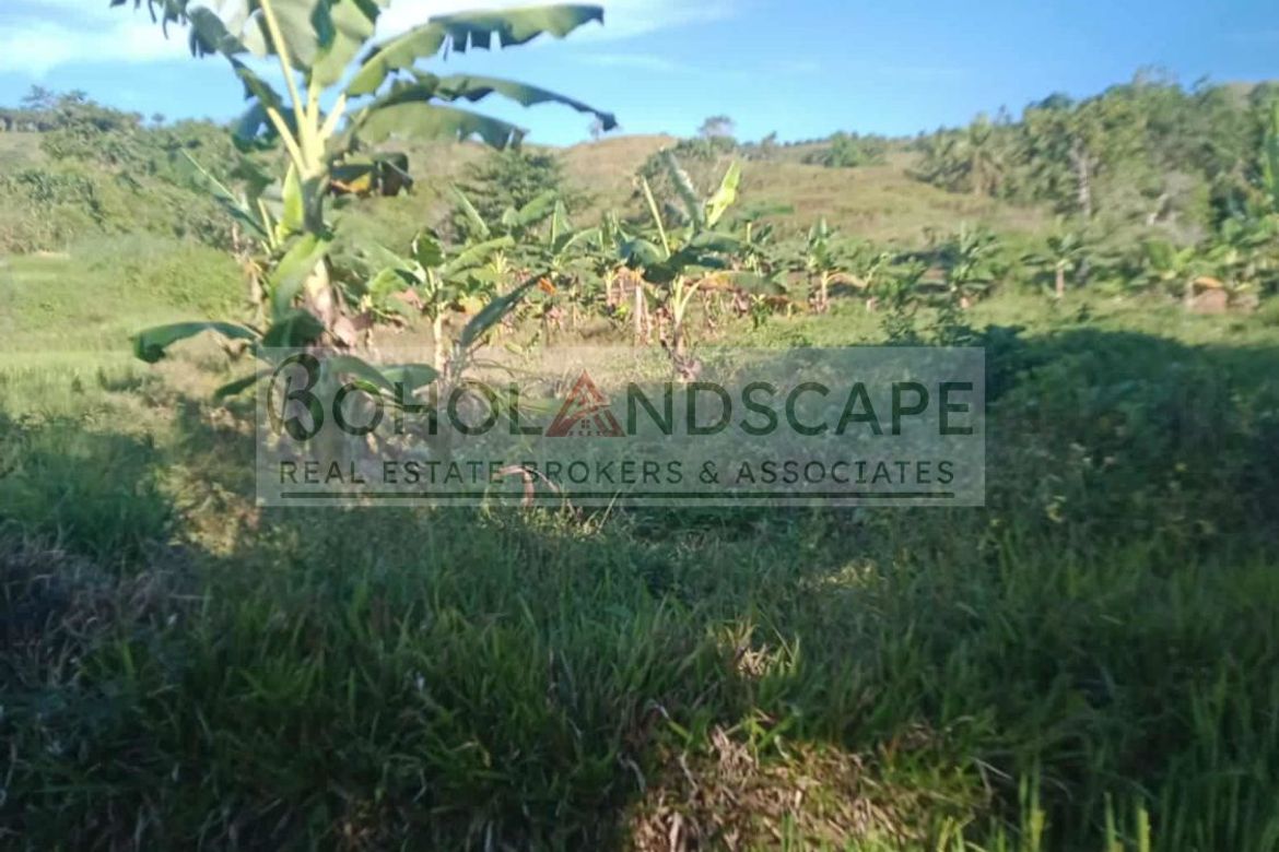 Land for Sale in Villarcayo, Carmen, Bohol – photo 7