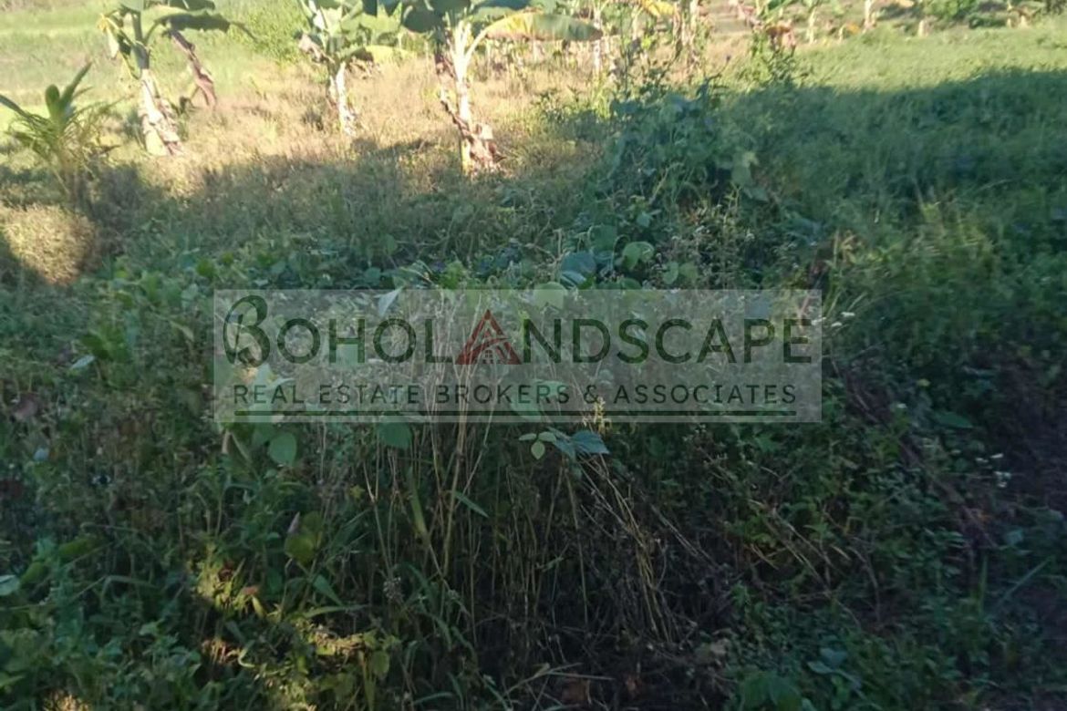 Land for Sale in Villarcayo, Carmen, Bohol – photo 8