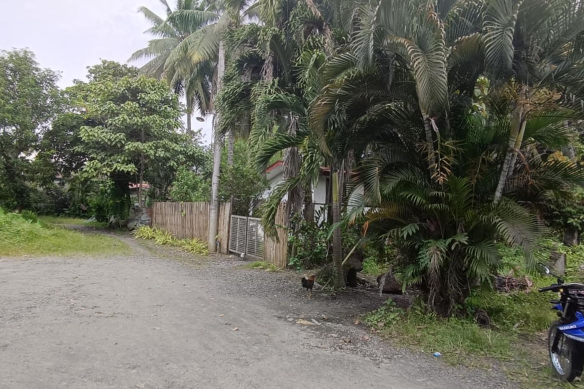 Land for Sale in Visayan Village, Tagum, Davao del Norte