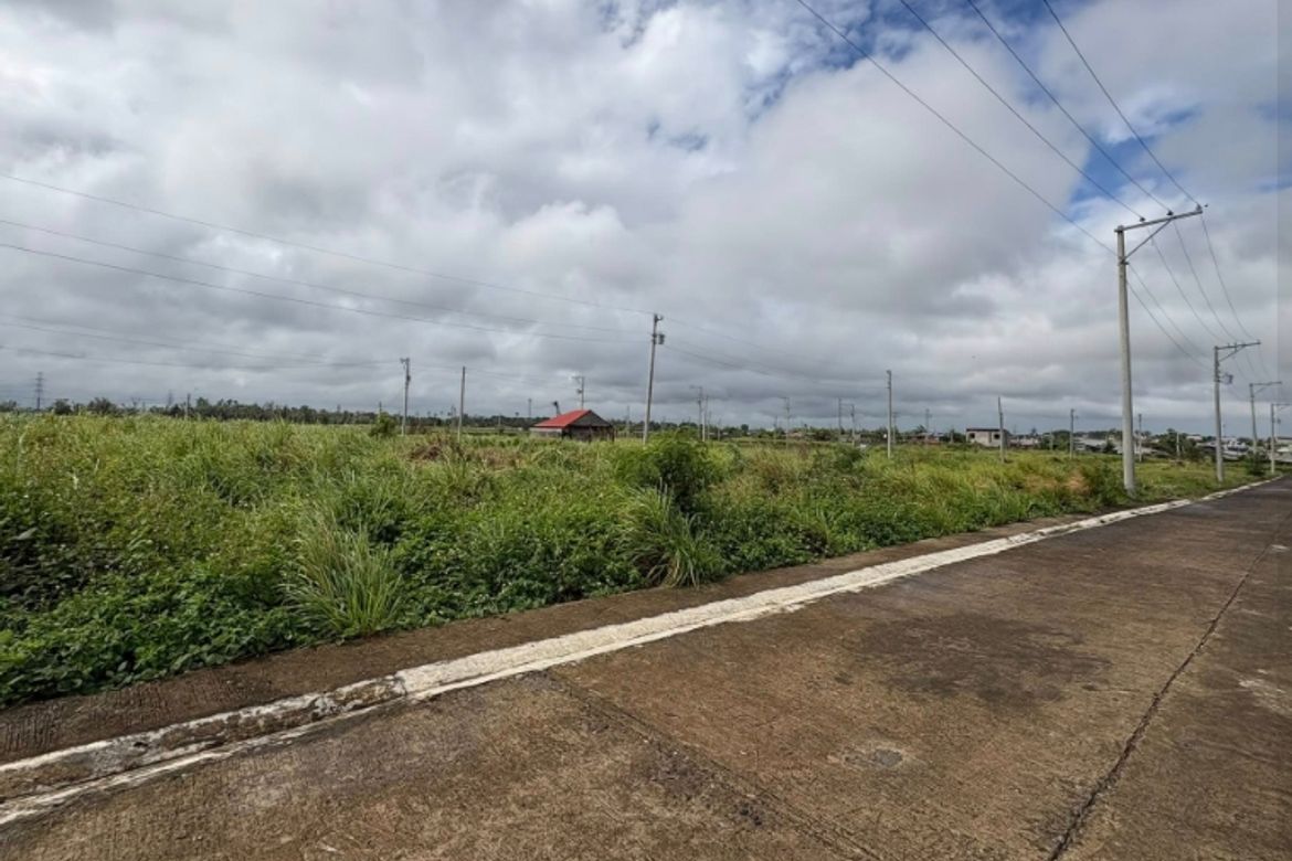 Land for Sale in Vista Alegre, Bacolod, Negros Occidental – photo 4