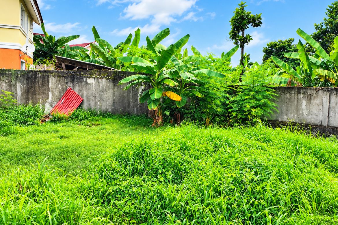 Land for Sale in Vittoria Subdivision, Basak, Lapu-Lapu, Cebu – photo 6