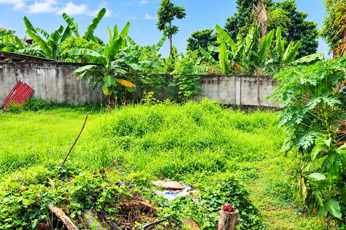 Land for Sale in Vittoria Subdivision, Basak, Lapu-Lapu, Cebu – photo 7