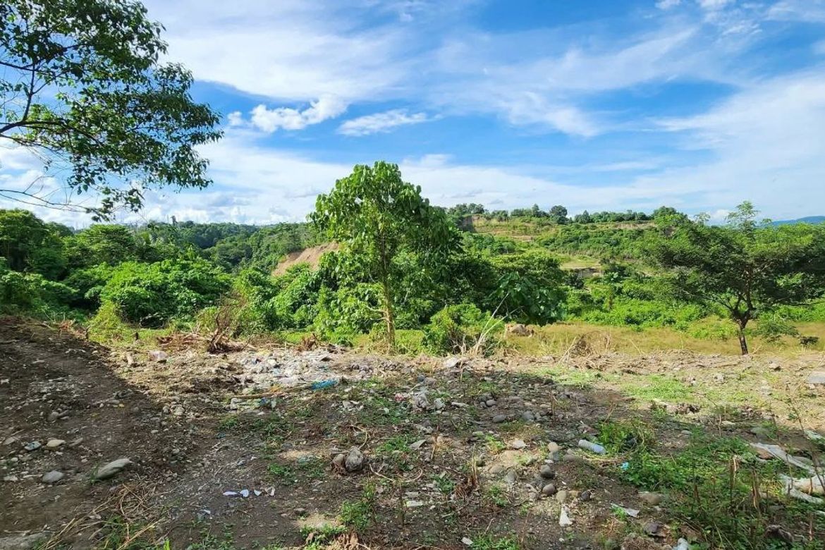 Land for Sale in Waan, Davao City, Davao del Sur – photo 3