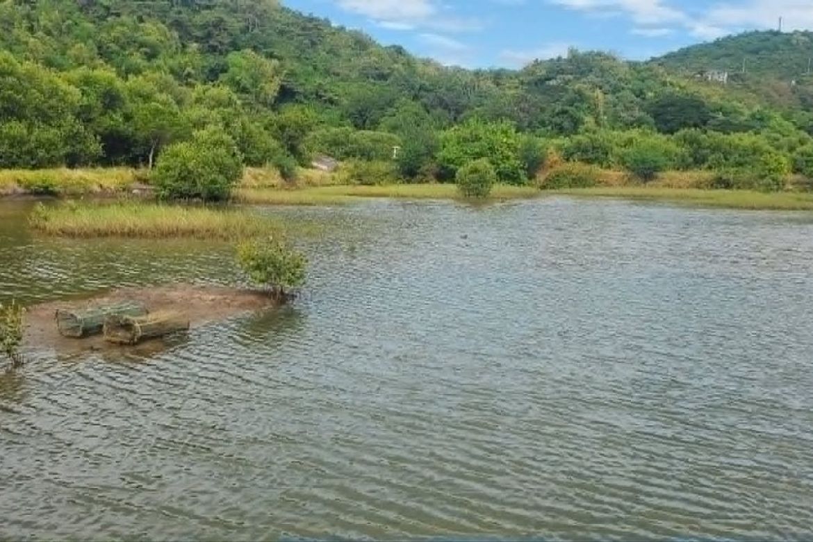 Land for Sale in Wawa, Nasugbu, Batangas – photo 3