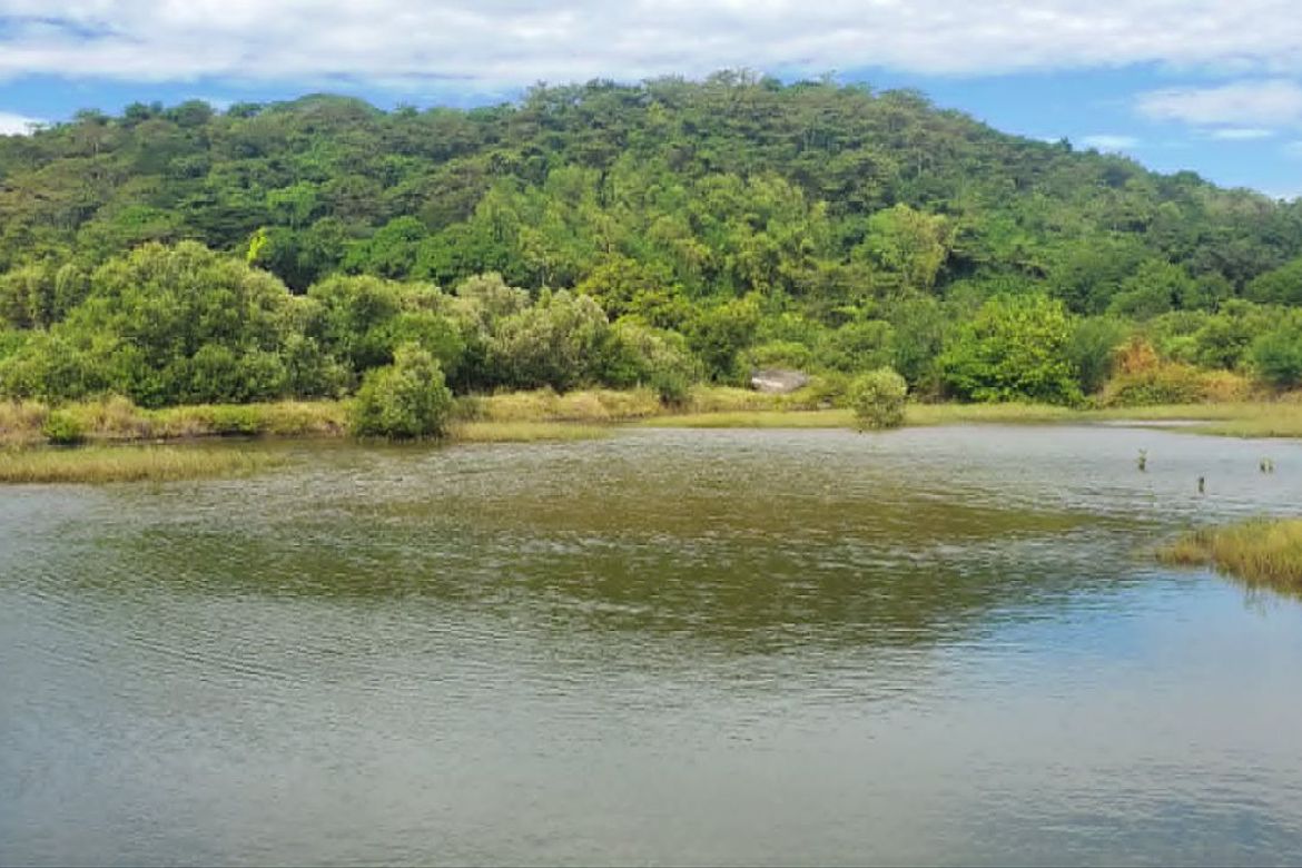 Land for Sale in Wawa, Nasugbu, Batangas – photo 4