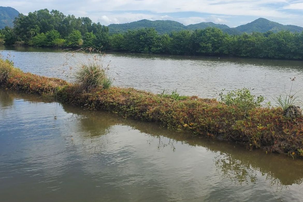 Land for Sale in Wawa, Nasugbu, Batangas – photo 6