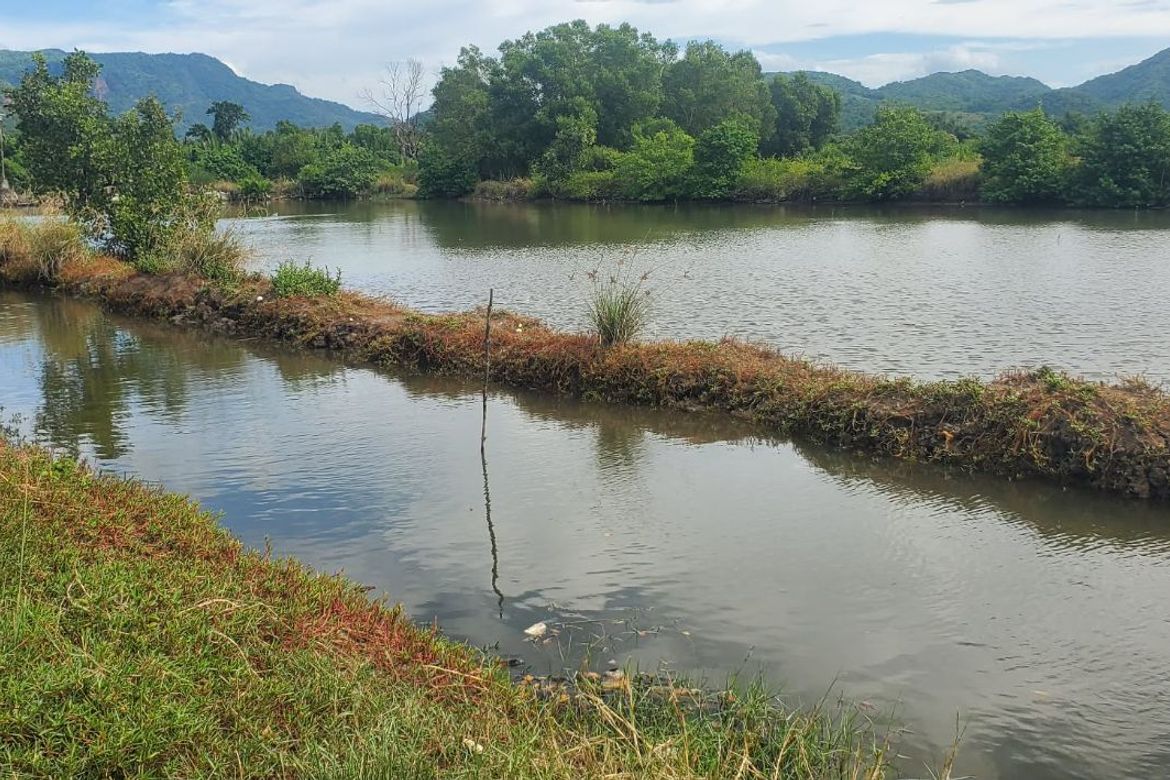 Land for Sale in Wawa, Nasugbu, Batangas – photo 7