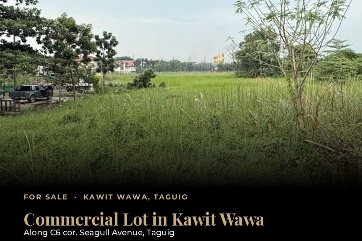 Land for Sale in Wawa, Taguig, Metro Manila