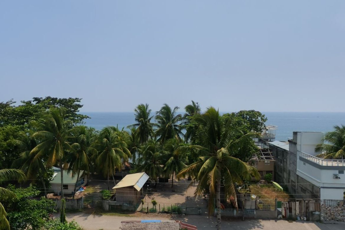 Land for Sale in West Poblacion, Bacong, Negros Oriental – photo 2