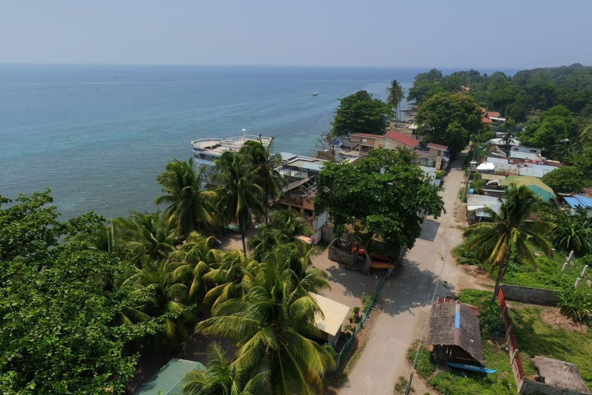 Land for Sale in West Poblacion, Bacong, Negros Oriental – photo 3